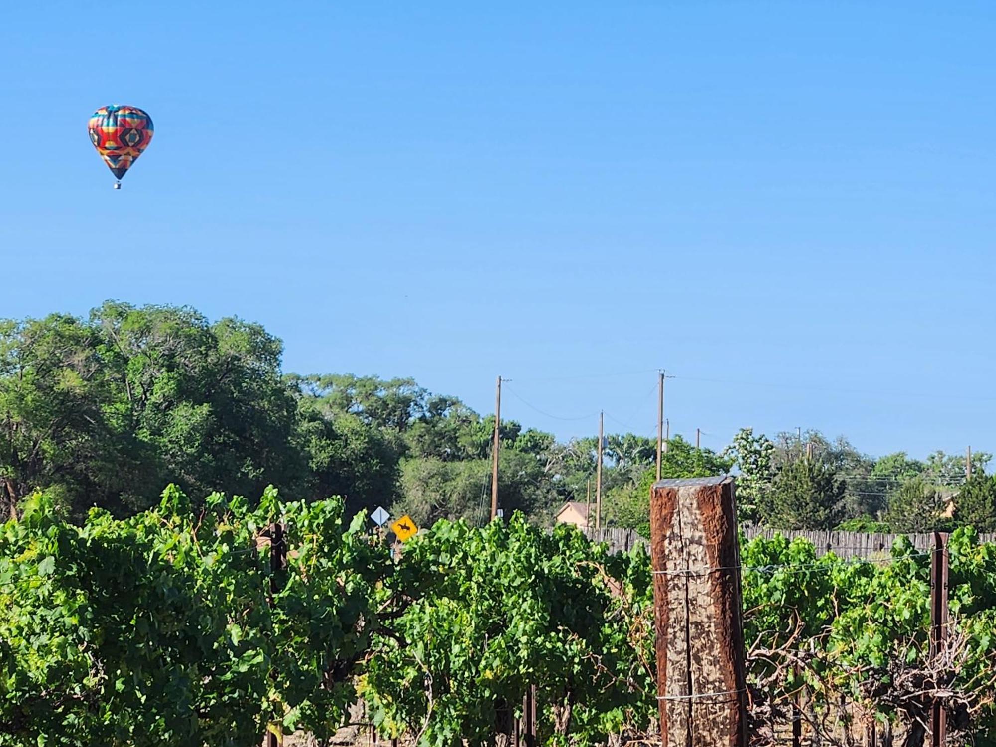 Red Mountain Manor Vineyard And Guesthouse リオランチョ エクステリア 写真
